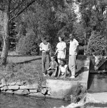 Negative, Sheet Film