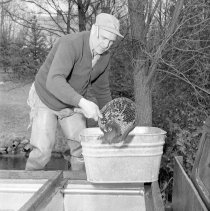 Negative, Sheet Film