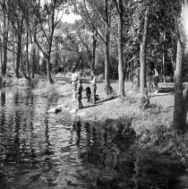 Negative, Sheet Film