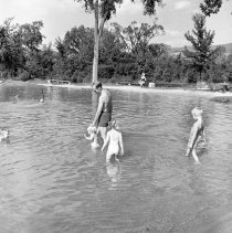Negative, Sheet Film