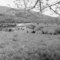 Negative, Sheet Film