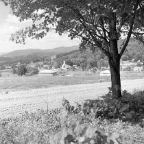 Negative, Sheet Film