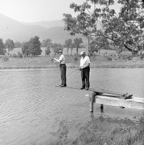 Negative, Sheet Film