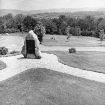 Negative, Sheet Film