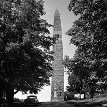 Negative, Sheet Film