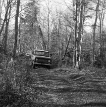 Negative, Sheet Film