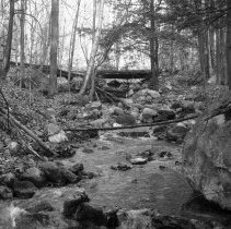 Negative, Sheet Film