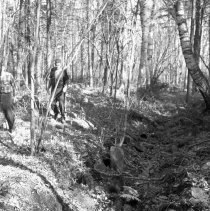 Negative, Sheet Film