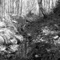 Negative, Sheet Film