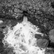 Negative, Sheet Film