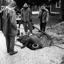 Negative, Sheet Film