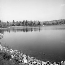 Negative, Sheet Film