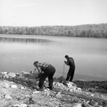 Negative, Sheet Film