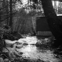 Negative, Sheet Film