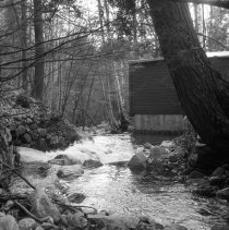 Negative, Sheet Film