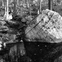 Negative, Sheet Film