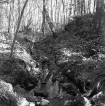 Negative, Sheet Film