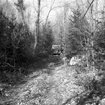 Negative, Sheet Film