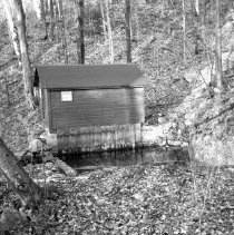 Negative, Sheet Film