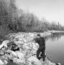 Negative, Sheet Film