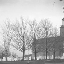 Negative, Glass Plate