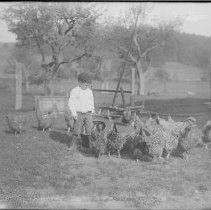 Negative, Glass Plate