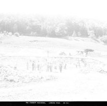 Negative, Glass Plate