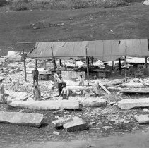 Negative, Glass Plate