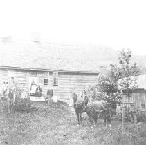 Negative, Glass Plate