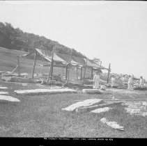 Negative, Glass Plate