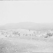 Negative, Glass Plate