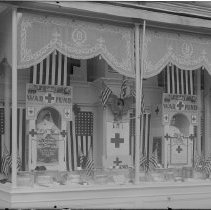 Negative, Glass Plate