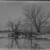 Negative, Glass Plate