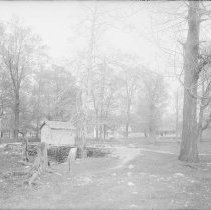 Negative, Glass Plate