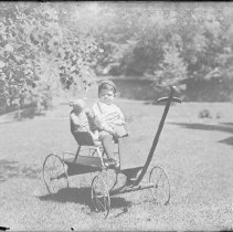 Negative, Glass Plate