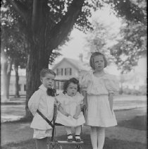 Negative, Glass Plate