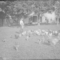 Negative, Glass Plate