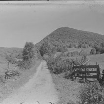 Negative, Glass Plate