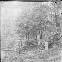 Negative, Glass Plate