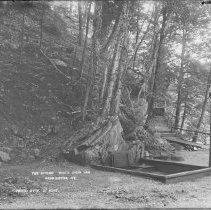 Negative, Glass Plate