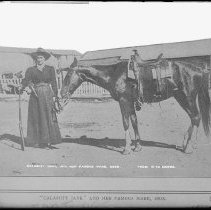 Negative, Glass Plate