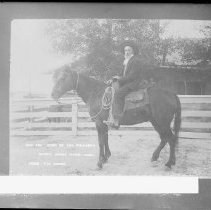 Negative, Glass Plate