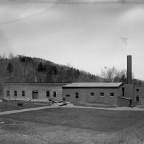 Negative, Glass Plate
