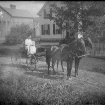 Negative, Glass Plate