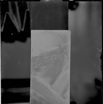 Negative, Glass Plate