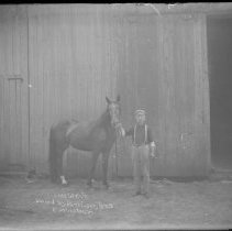 Negative, Glass Plate