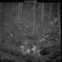 Negative, Glass Plate