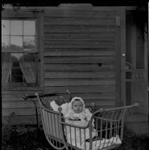 Negative, Glass Plate