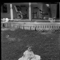 Negative, Glass Plate