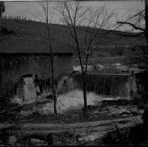 Negative, Glass Plate